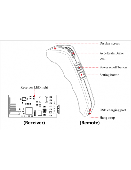 Flipsky pilot VX2 Pro z wyświetlaczem