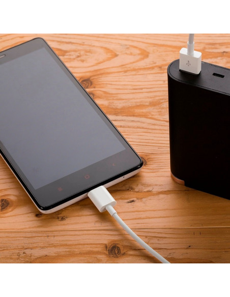 Kabel magnetyczny Micro USB / Apple - M1